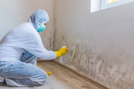 Best HVAC Mold Inspection and Cleaning  in Mono Vista, CA