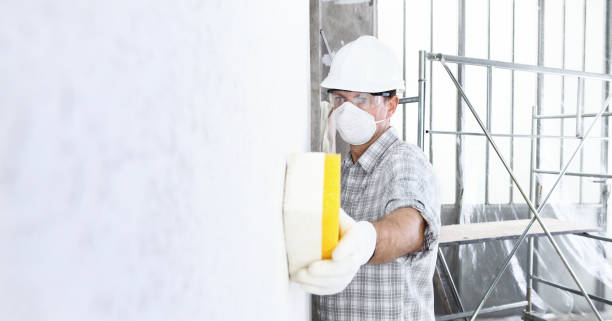 Best Commercial Mold Inspection  in Mono Vista, CA