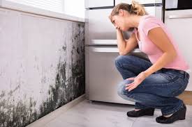 Best Mold Removal for HVAC Installations  in Mono Vista, CA